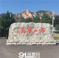 陵园风景图-7