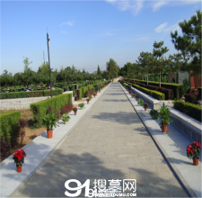 陵园风景图-8
